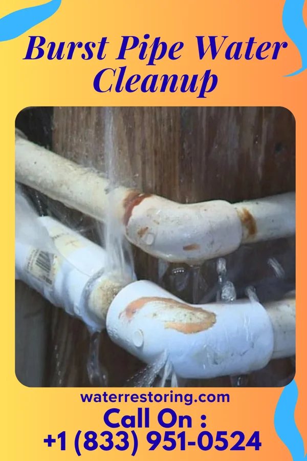 Burst Pipe Water Cleanup in North Aurora, IL